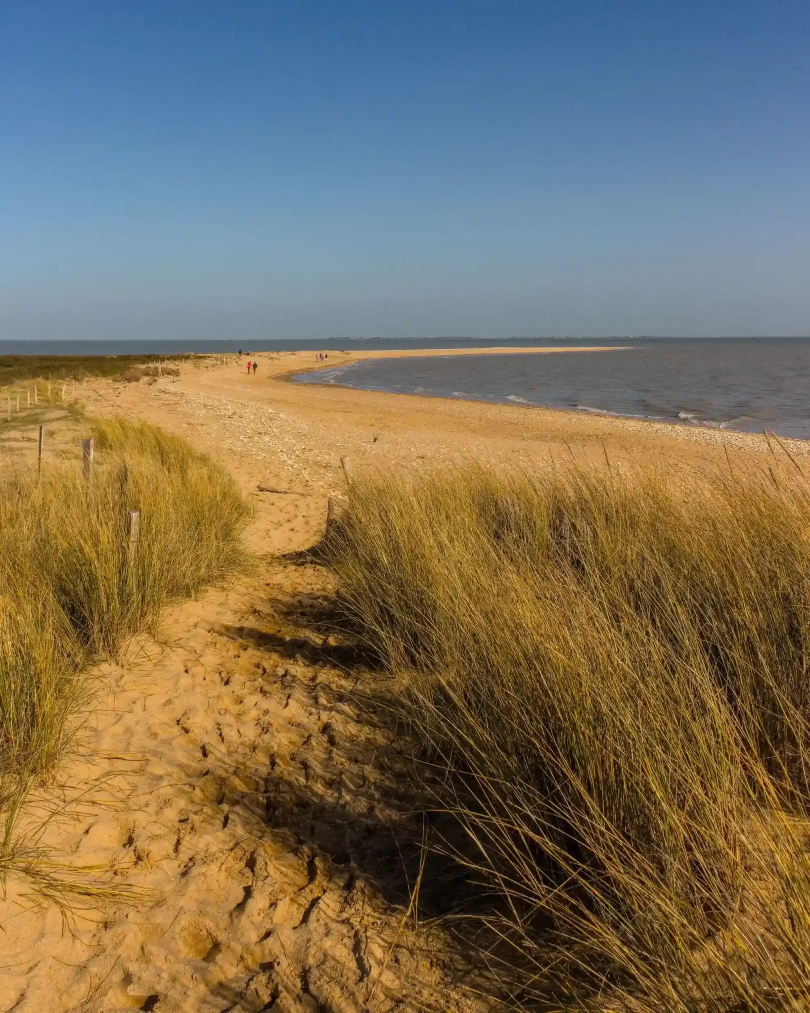 La Pointe de l'Aiguillon Réserve naturelle nationale de la Baie de l'Aiguillon Vendée