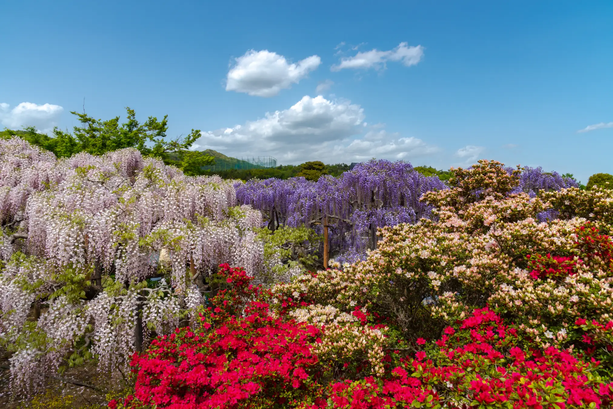 Luçon Parc floral de la Presqu’île